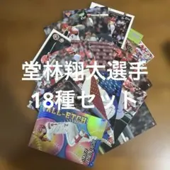 プロ野球チップスカード等堂林翔太選手18種まとめセット(キラ4種ノーマル14種)のサムネイル