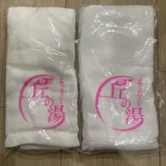 Item thumbnail for item 9fe6876f-6f41-4aa9-bd6c-94b9e5e95185