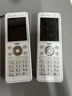 NEC Carrity ホワイト 2台セット