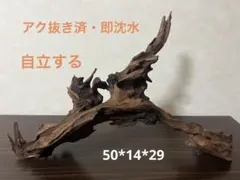 HX-152 流木 マシンガンウッド ホーンウッド アクアリウム ブランチ