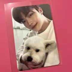 ゴヌク　トレカ　ゼベワン　zb1　犬　レオトレカ②