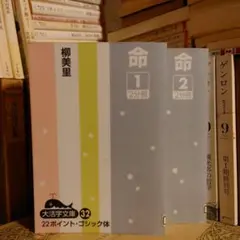 ★大字版文庫 命 1 2 / 柳美里 / 22點・黑體