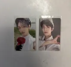 Stray Kids MAXIDENT トレカ 2枚セット