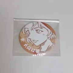 名探偵コナン 大岡紅葉 缶バッジ
