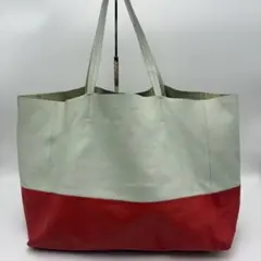 【良品✨】celine セリーヌ　ホリゾンタルカバ　フィービー期　バイカラーのサムネイル