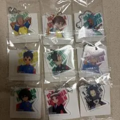 イナズマイレブン イナイレ アクリミニ アクリルキーチェーン