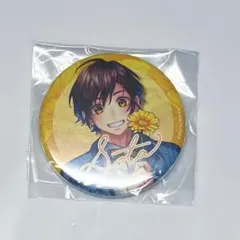缶バッジ 望月蒼太 HoneyWorks 48点 告白 honeyworks ハニワ 望月蒼太 20点 缶バッジ 望月蒼太 HoneyWorks ピンズ・ピンバッジ・缶バッジ