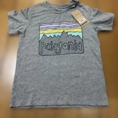 パタゴニア　Tシャツ 100