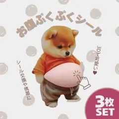 お腹ぷにぷに シール 柴犬 立体シール小学生 シール交換 おなか