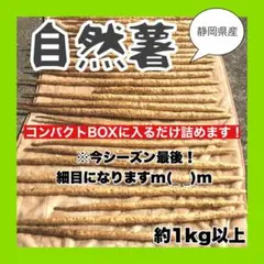 3/4 自然薯☆静岡県産 細め 傷あり1kg以上☆83のサムネイル