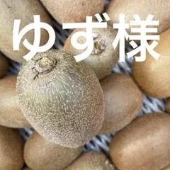 ゆず様専用【訳あり品】日焼けキウイフルーツ　サイズ混合5kg以上2箱