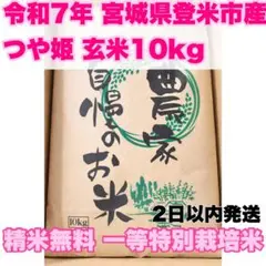 新生活応援 令和7年宮城県産ひとめぼれ玄米20kg(10kg×2)精米無料 一等