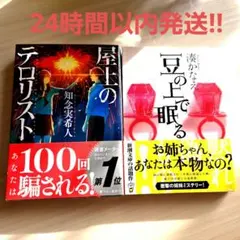 《豆の上で眠る》 《屋上のテロリスト》2冊セット　湊かなえ　知念実希人　文庫本