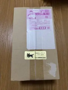 【未開封】ポケカ　ポケモンセンタートウホク スペシャルBOX