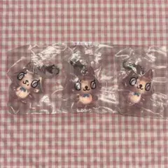 ナルミヤ めじるしアクセサリー ピコ（POM PONETTE） ✕3