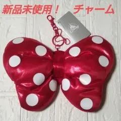 ディズニー ミニー リボン チャーム ミラー付き キーチェーン パルパルーザに
