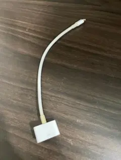 Apple A1450 30Pin to Lightning変換アダプター