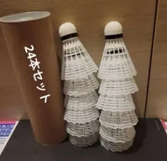 【1ダース 24本セット】バドミントンシャトル 基礎打ちノック