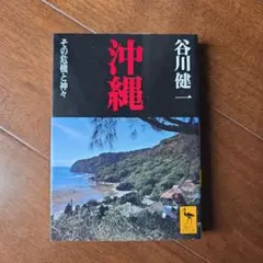 沖縄 　その危機と神々　(講談社学術文庫)