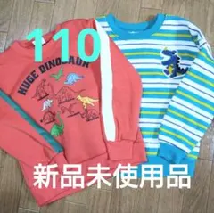✴️おとこの子 恐竜 裏起毛トレーナー☆新品未使用品 110サイズ 2枚セット