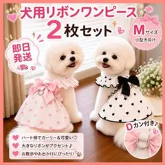 犬用リボンワンピース 2枚　ハート柄 ブラック ピンク Mサイズ 小型犬　2のサムネイル