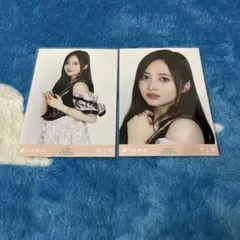 乃木坂46 生写真 same numbers 井上和 コンプ - メルカリ