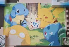 海外ポケセン限定】ポケモン ヒトカゲ ゼニガメ フシギダネ ポスター