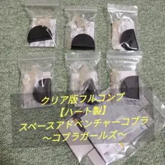 バラOK）　コピアポア　ハセルトニアナ系 種子１４種類　１０粒ずつセット バラOK） コピアポア ハセルトニアナ系 種子14種類 10粒ずつセット