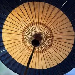 Item thumbnail for item 1302eb8d-e372-4c1c-8be4-e209af46799a