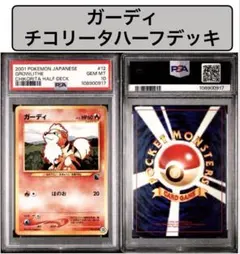 2026年最新】#チコリータハーフデッキの人気アイテム - メルカリ