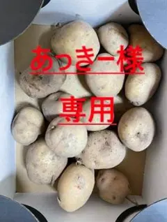 あっきー様専用