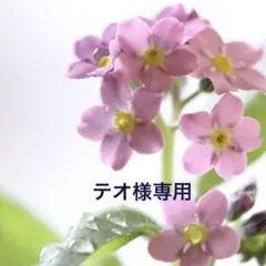 テオ様専用✩.*˚ SWAROVSKIサンキャッチャー ✩.*˚