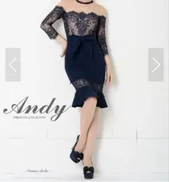 ANDY アンディ ミニドレス OK2483-NVBE-2111