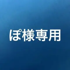 t*y様 昭和レトロ SILVER MELLOW TONE E65 フルアコ J - メルカリ