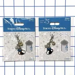 ディズニーシー 25周年　チャーム　ダッフィー シェリーメイ ２点セット