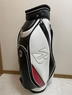 Item thumbnail for item 772a5a9f-d08b-448f-a5d3-a61ef2e9856e