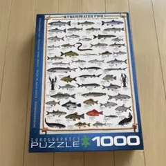 EUROGRAPHICS FRESHWATER FISH 1000ピース