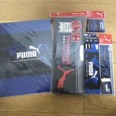 Item thumbnail for item 1341716e-c825-4800-b5c4-dcdb56691d22