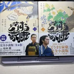 Item thumbnail for item 3562c826-3739-43d2-95a7-093563d180e2