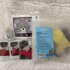 BOYNEXTDOOR ボネクド ジェヒョン プネクド キーリング