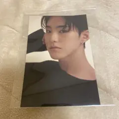 seventeen yourchoice ホシ