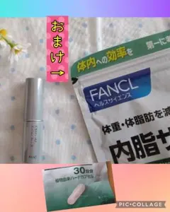 FANCLカラースティックルージュローズレッド　おまけ　内脂サポート30日のサムネイル