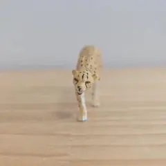 アニア チーター