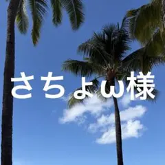 さちょω様 リクエスト 2点 まとめ商品