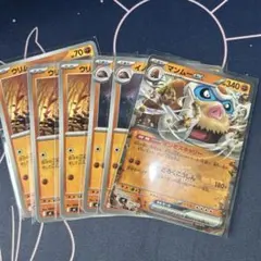 ポケモンカード　マンムーex　進化ライン　ノーマルのサムネイル