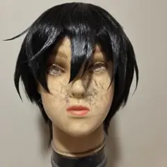 あんさんぶるスターズ あんスタ 氷鷹北斗 コスプレ ウィッグ