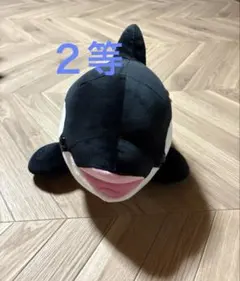 神戸須磨シーワールド　オルカくじ　２等　シャチ　ぬいぐるみのサムネイル