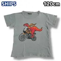 SHIPS シップス キッズ tシャツ 120cm 恐竜