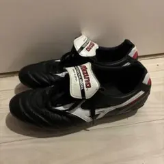 ミズノモレリア28cm