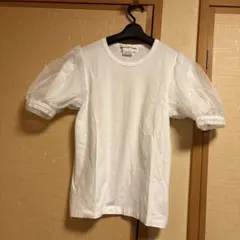 Item thumbnail for item 9cd822d0-1e6f-498b-a186-78c0750338ce